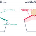 ikari_gata_comparison_diagram